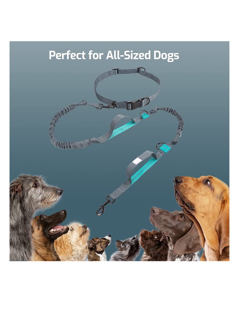 مقود للكلاب، مقود للكلاب قابل للسحب بدون استخدام اليدين مع حزام خصر قابل للتعديل للكلاب المتوسطة والكبيرة، ومقابض مبطنة مزدوجة، وحبل مطاطي قابل للسحب، وغرز عاكسة للمشي لمسافات طويلة والجري وركوب الدراجات - Image 5